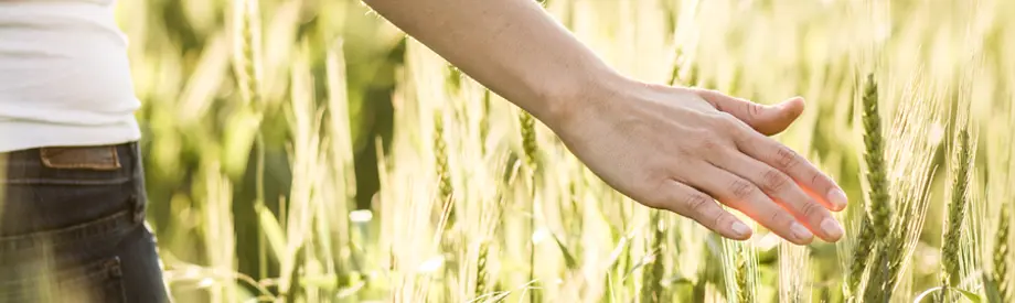 Landschaft mit Wasserfall – Symbol für die Kraft und Beständigkeit nachhaltiger Energie