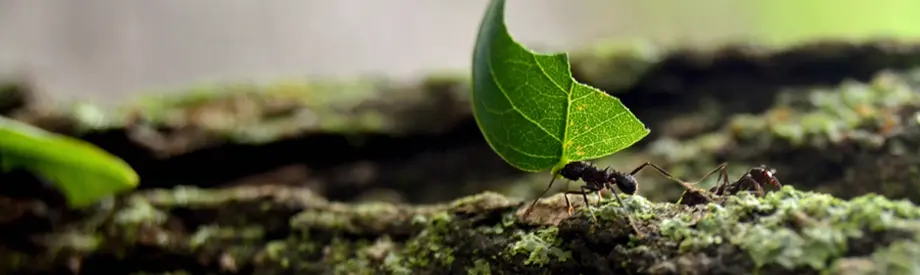 Landschaft mit Wasserfall – Symbol für die konstante Kraft nachhaltiger Energie