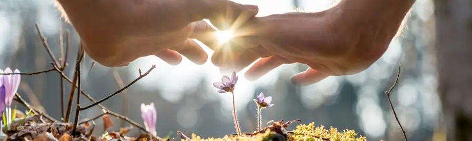 Landschaft mit Wasserfall – Symbol für die konstante Kraft nachhaltiger Energie