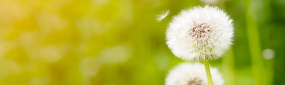Mitarbeiter von energycare bei der Arbeit an einer Photovoltaikanlage